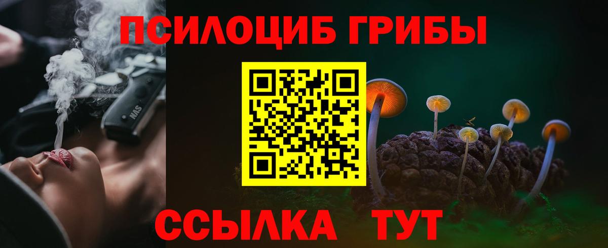 Псилоцибиновые грибы MAGIC MUSHROOMS Заинск
